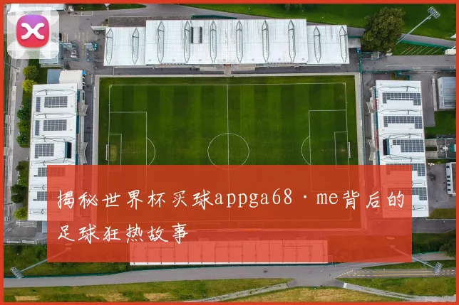 揭秘世界杯买球appga68·me背后的足球狂热故事