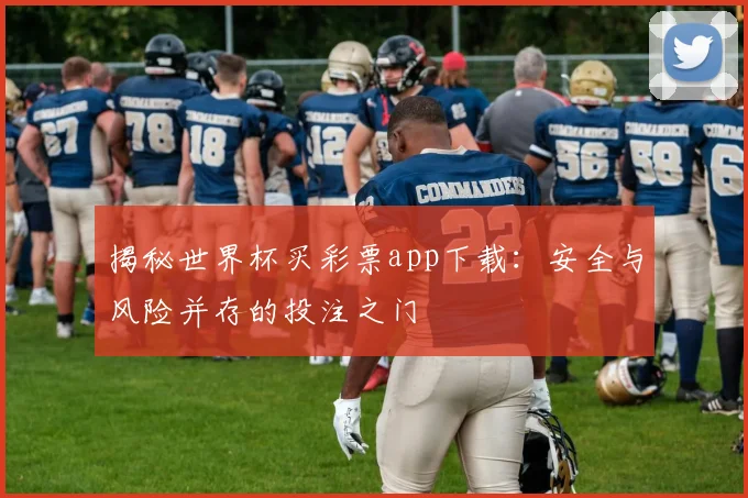 揭秘世界杯买彩票app下载：安全与风险并存的投注之门