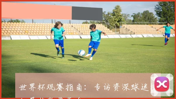 世界杯观赛指南：专访资深球迷揭秘最佳购票平台