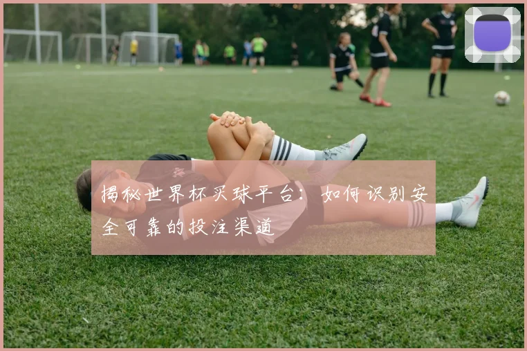 揭秘世界杯买球平台：如何识别安全可靠的投注渠道