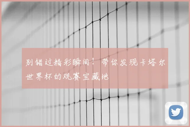 别错过精彩瞬间！带你发现卡塔尔世界杯的观赛宝藏地