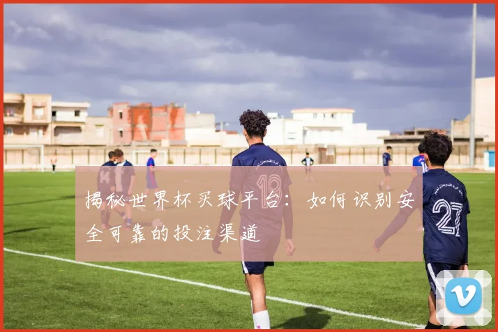 揭秘世界杯买球平台：如何识别安全可靠的投注渠道